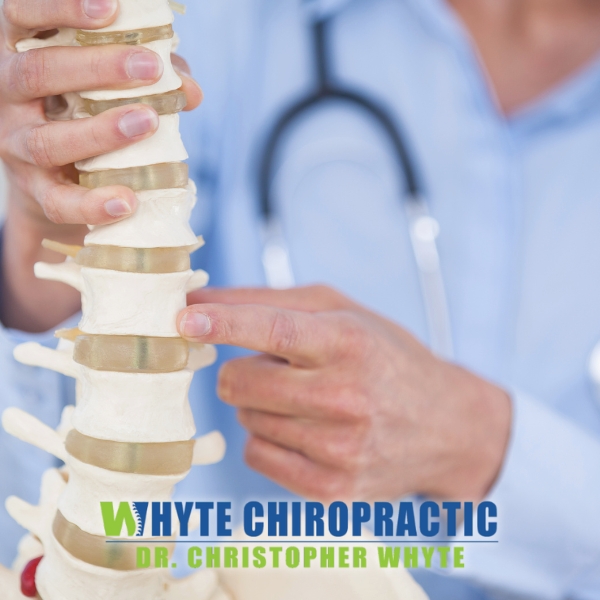 whyte chiro chiropractor in lindenhurst Whyte chiropractic chiropractor in lindenhurst